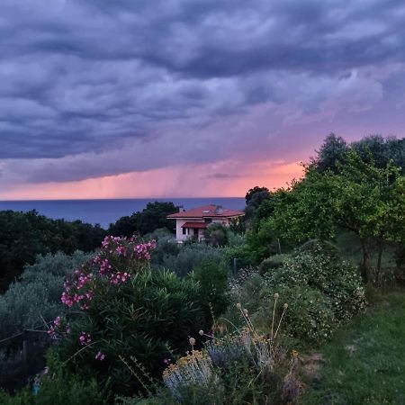 Bed and Breakfast Piccola California Muggia Exterior foto