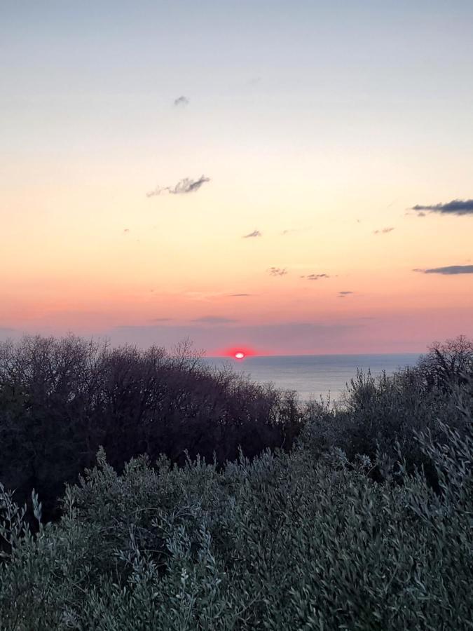 Bed and Breakfast Piccola California Muggia Exterior foto