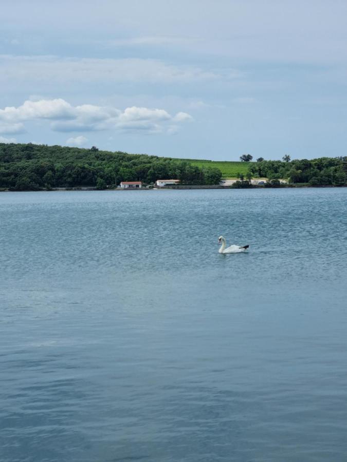 Bed and Breakfast Piccola California Muggia Exterior foto